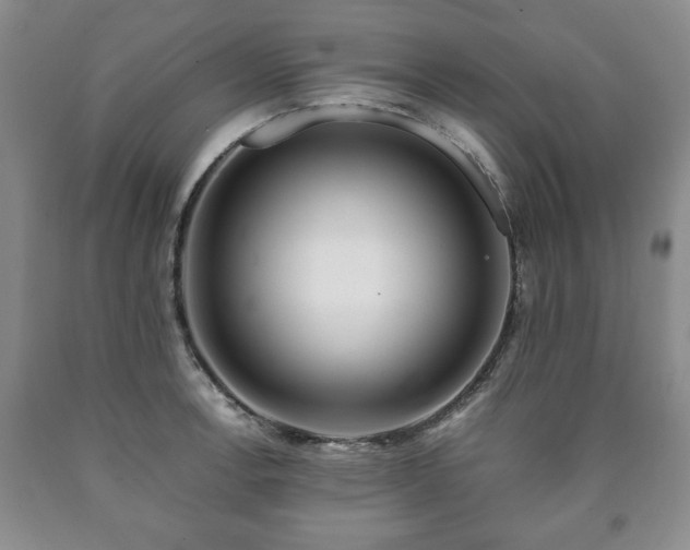 X0000090601138200707241037