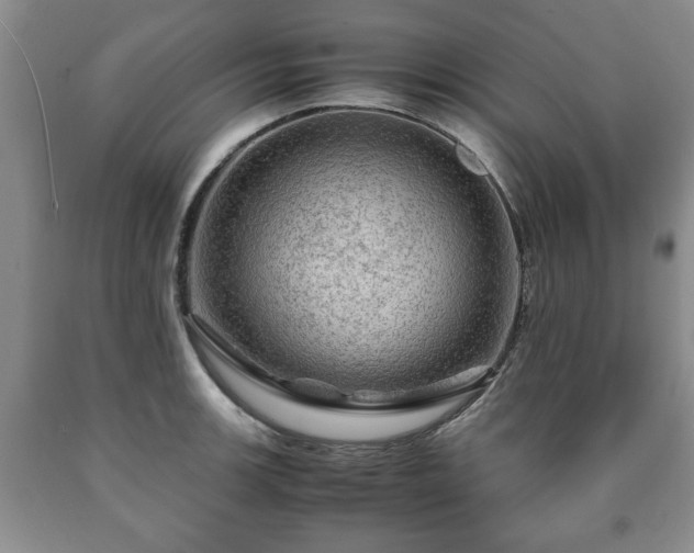 X0000090601139200707241037