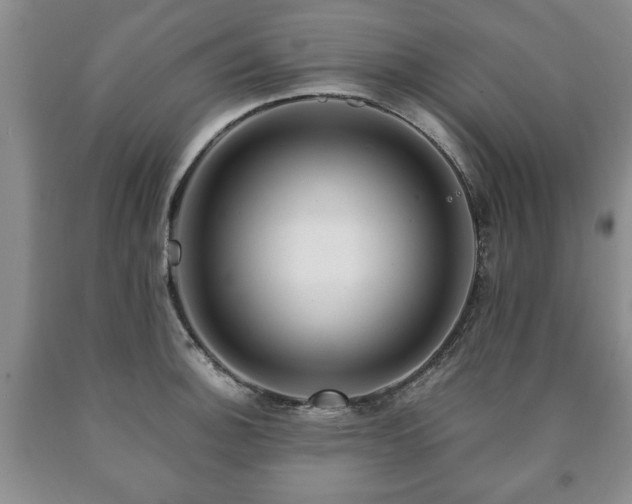 X0000090601140200707241037
