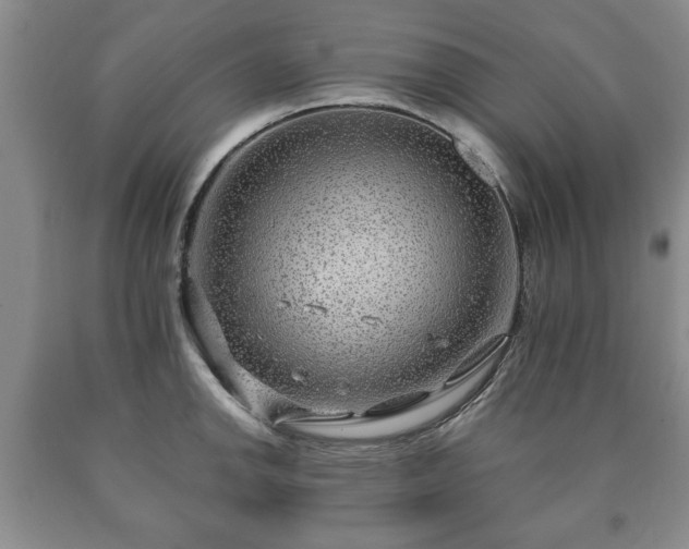 X0000090601142200707241037