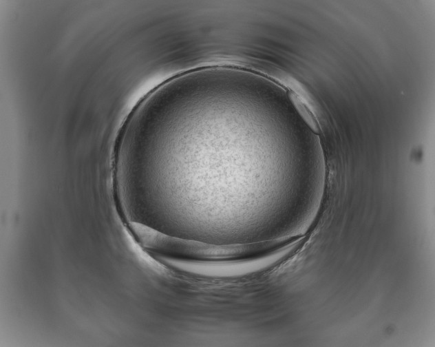 X0000090601143200707241037