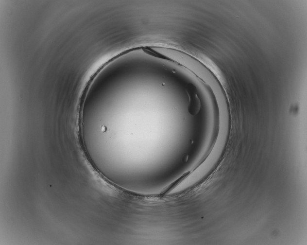 X0000090601144200707241037