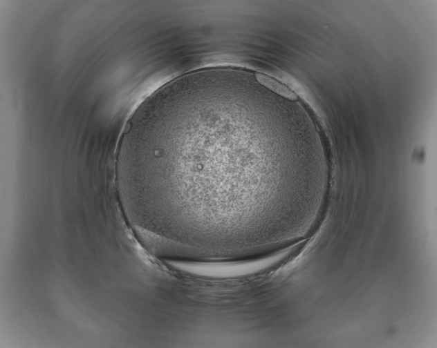 X0000090601145200707241037