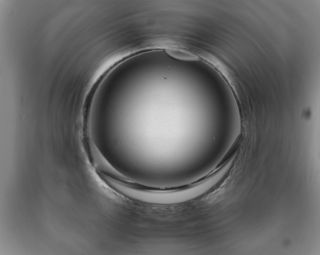 X0000090601147200707241038