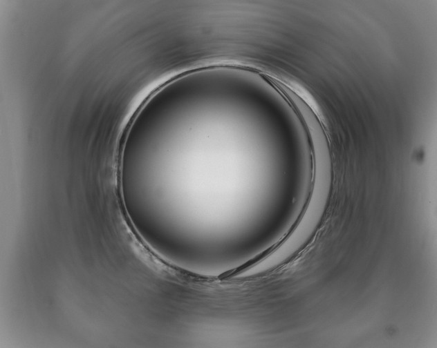 X0000090601148200707241038