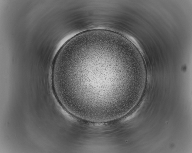 X0000090601149200707241038