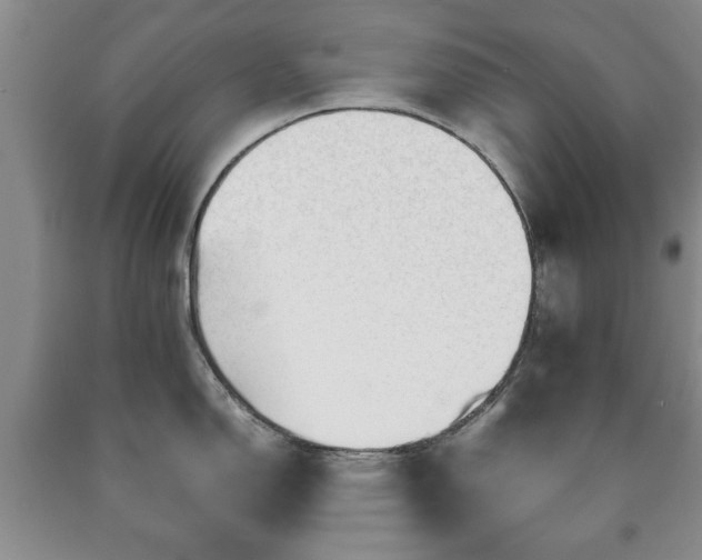 X0000090601150200707241038