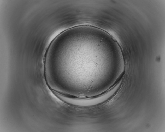 X0000090601151200707241038