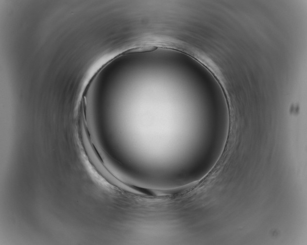 X0000090601152200707241038