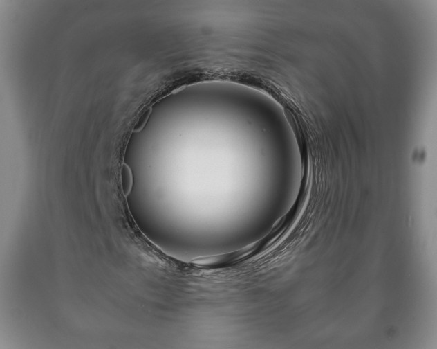 X0000090601153200707241037