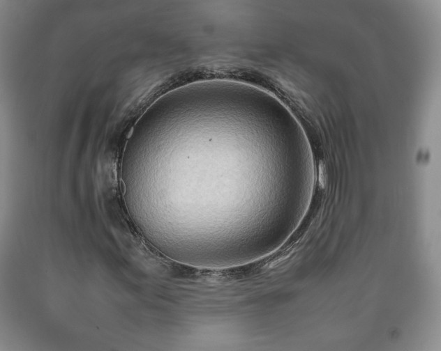 X0000090601155200707241037