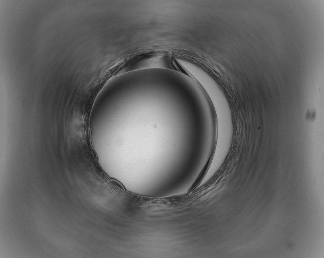 X0000090601156200707241037