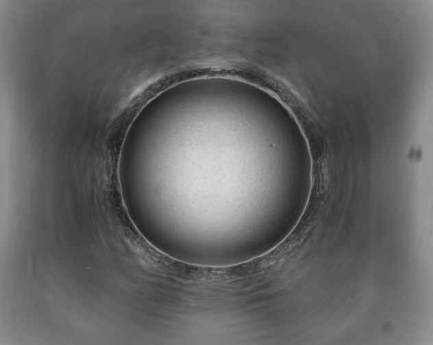 X0000090601158200707241037