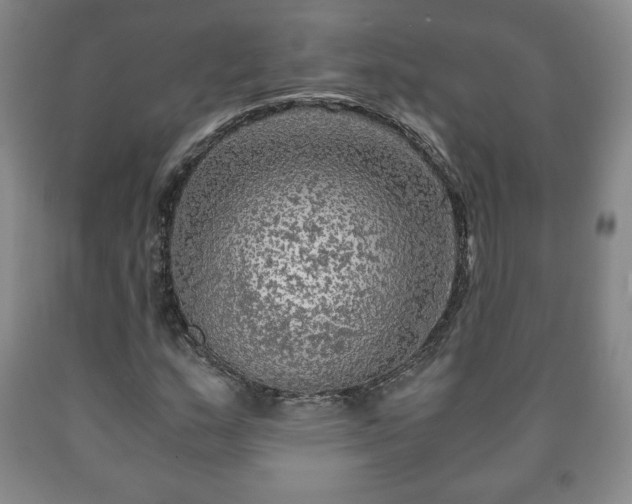 X0000090601159200707241037