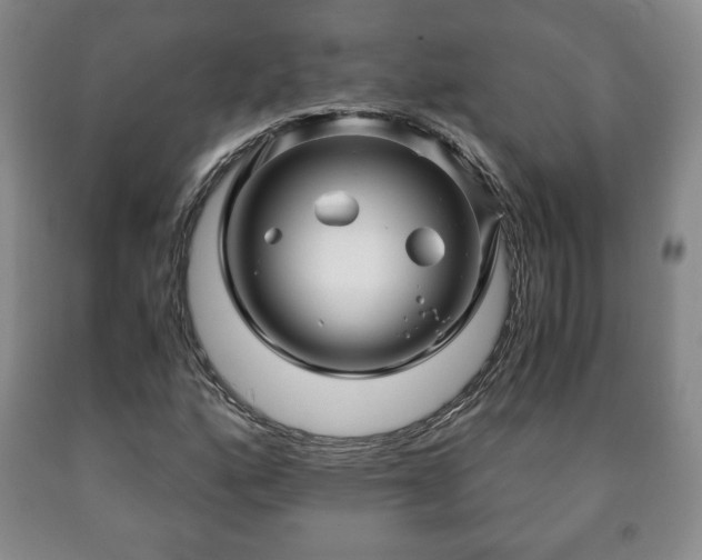 X0000090601160200707241037