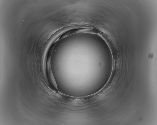 X0000090601161200707241037