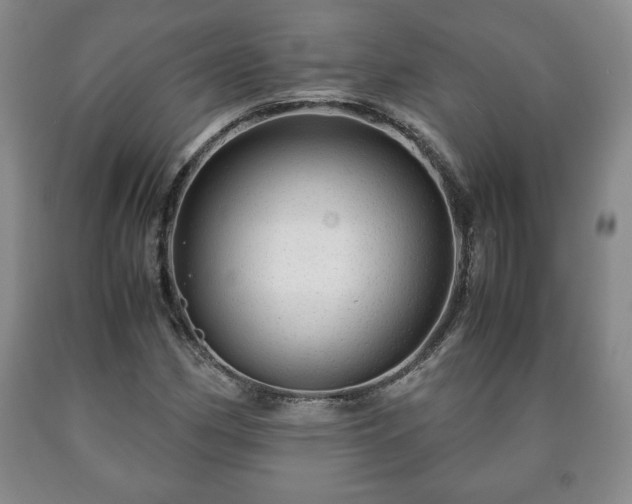 X0000090601162200707241037