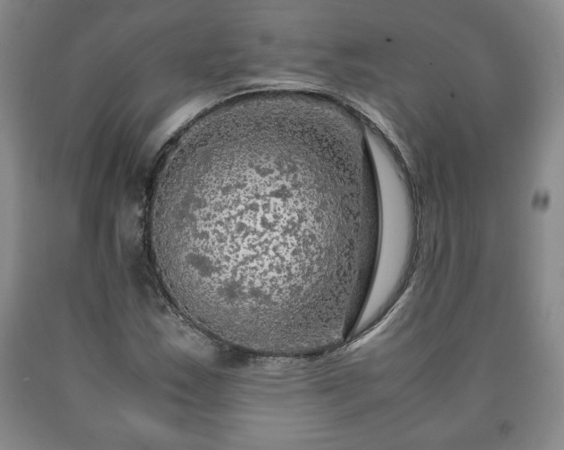 X0000090601163200707241037