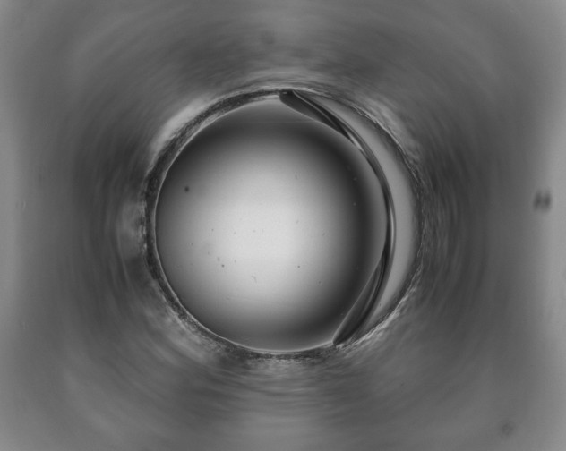 X0000090601164200707241037