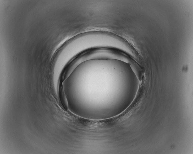 X0000090601165200707241037