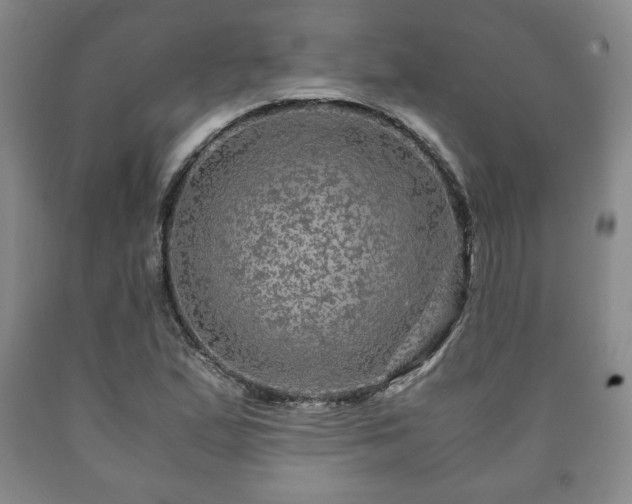 X0000090601167200707241037