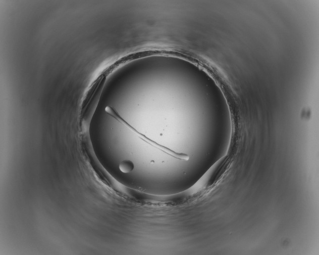 X0000090601168200707241037