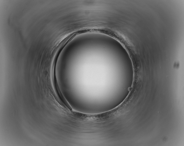X0000090601169200707241037