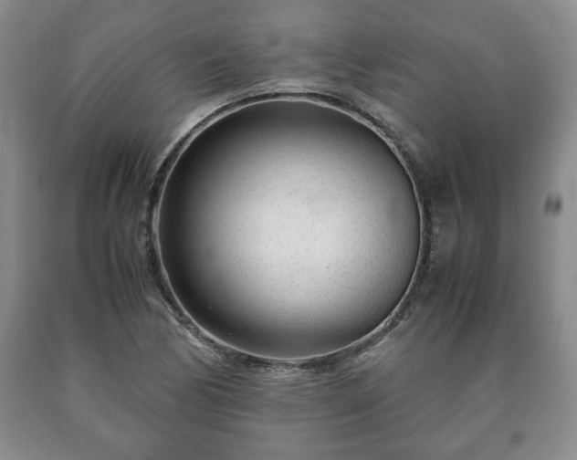 X0000090601170200707241037