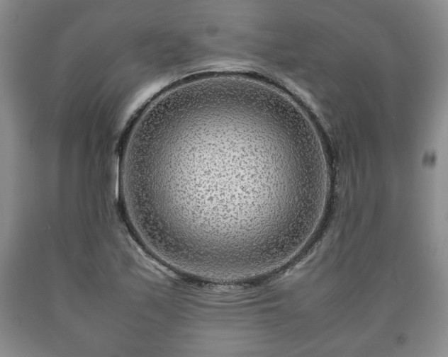 X0000090601171200707241037