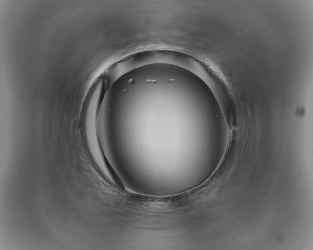 X0000090601173200707241037