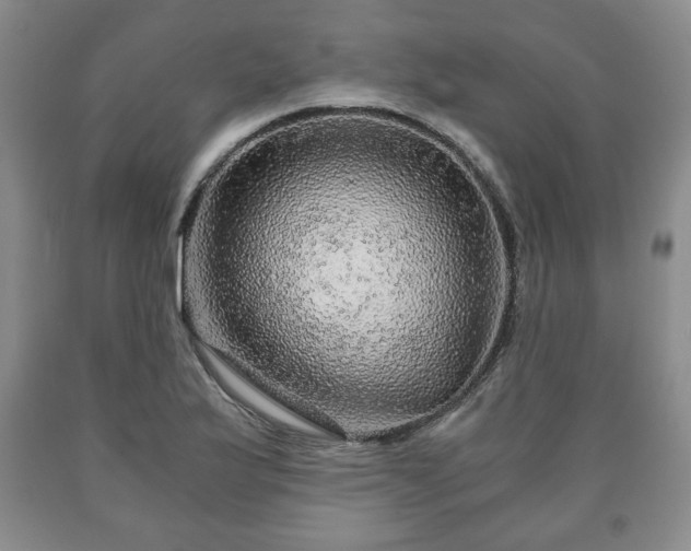 X0000090601175200707241037