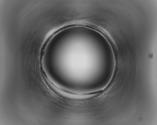 X0000090601176200707241037