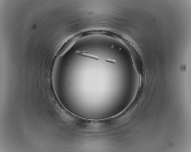 X0000090601177200707241037