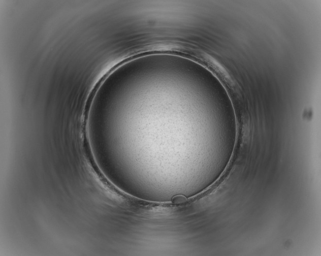 X0000090601178200707241037