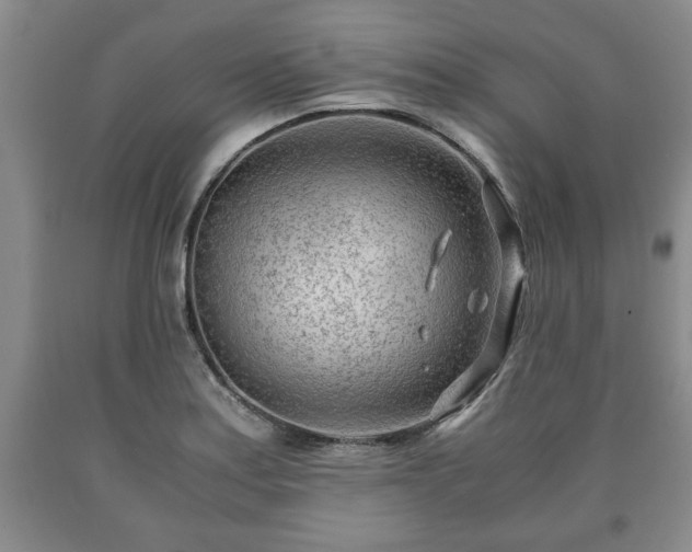 X0000090601179200707241037