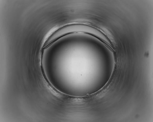 X0000090601180200707241037