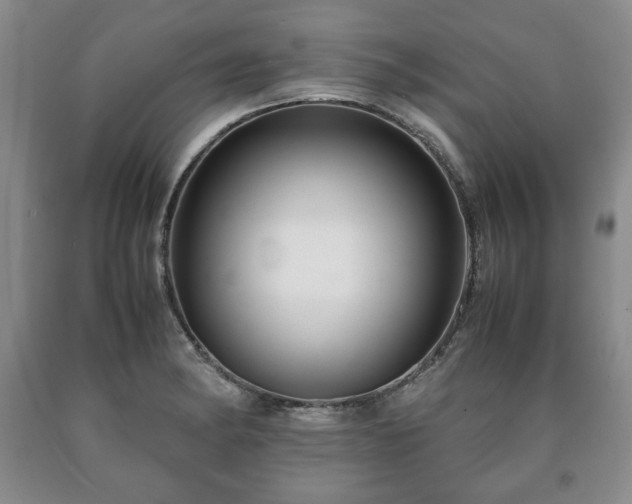 X0000090601182200707241036