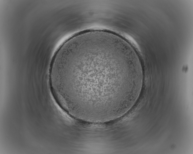 X0000090601183200707241036