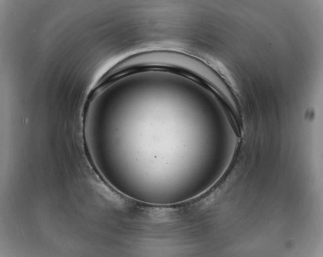 X0000090601184200707241036