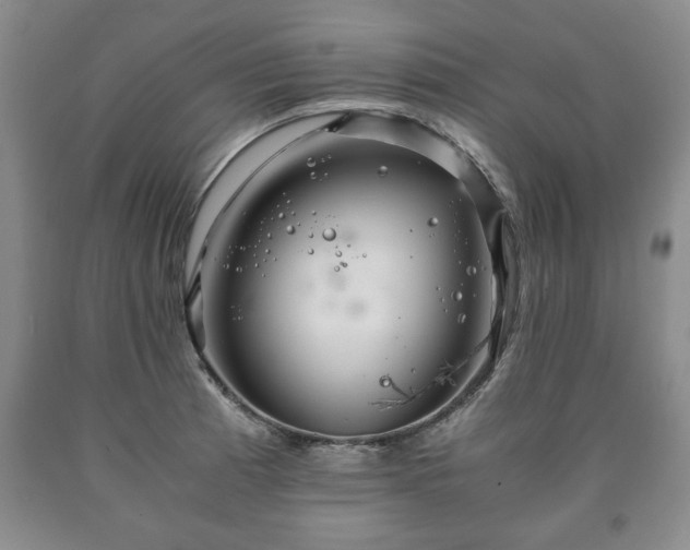 X0000090601185200707241036