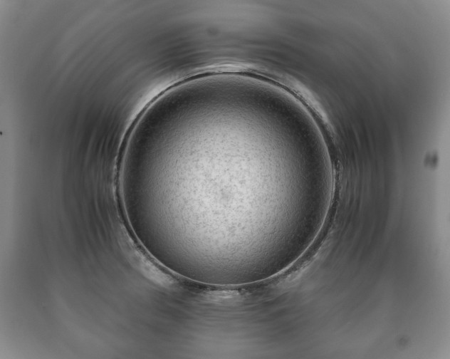 X0000090601186200707241036