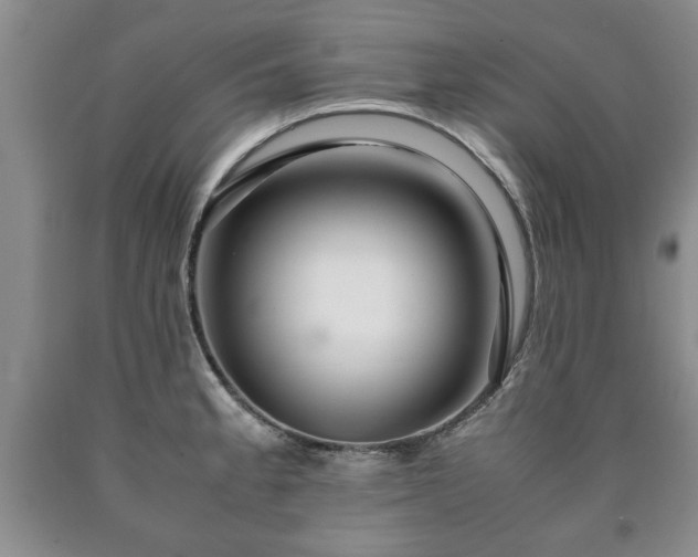 X0000090601189200707241036