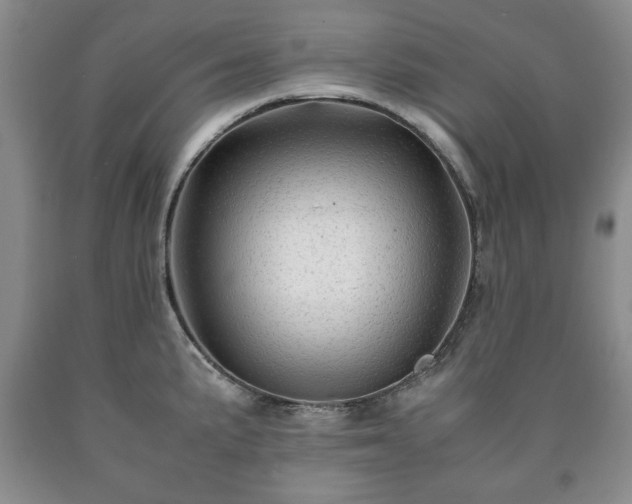 X0000090601191200707241036