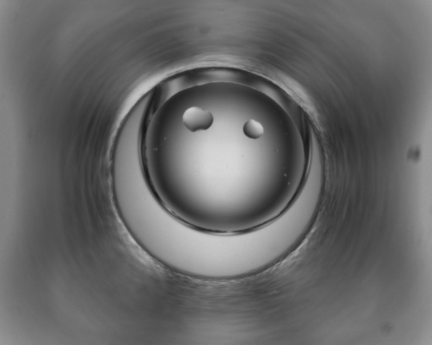 X0000090601192200707241036