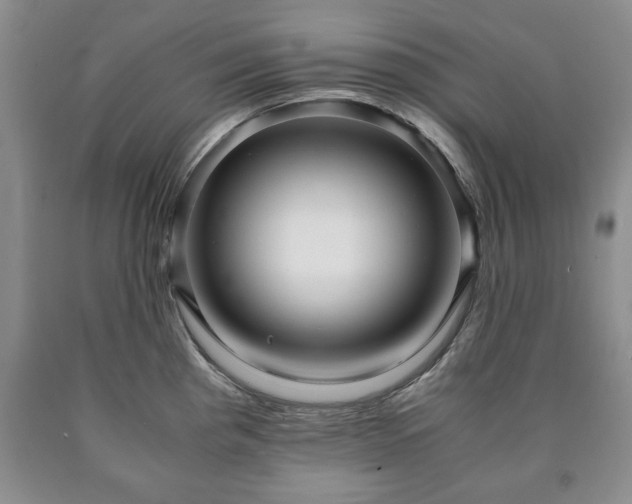 X0000090601193200707241036