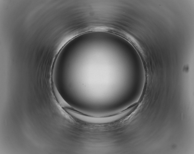 X0000090601194200707241036