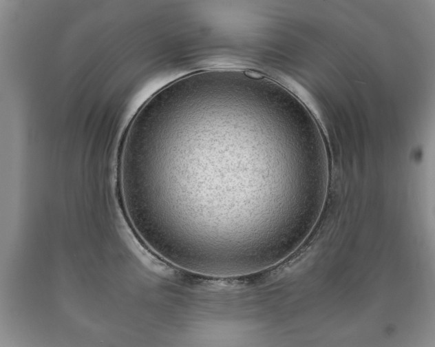 X0000090601195200707241036