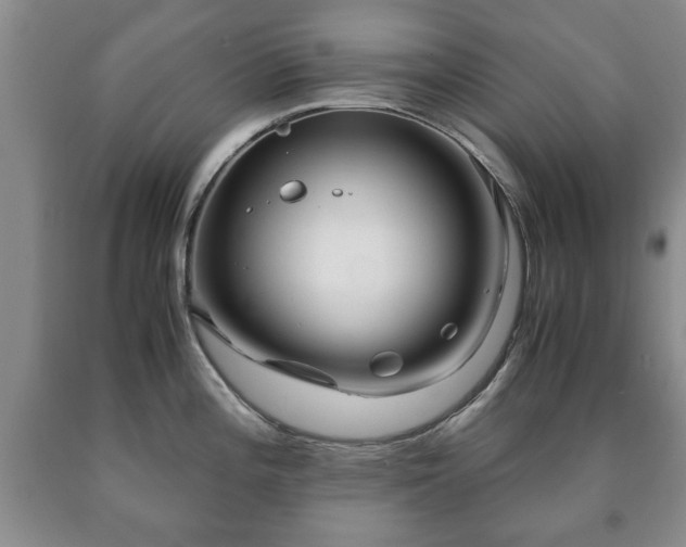 X0000090601196200707241036