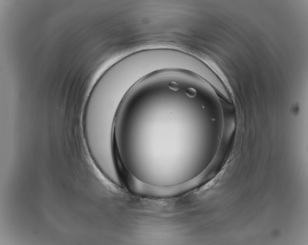 X0000090601197200707241036