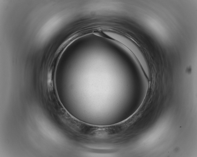 X0000090601198200707241036
